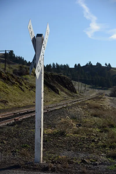 DSC_1087 (Large).JPG